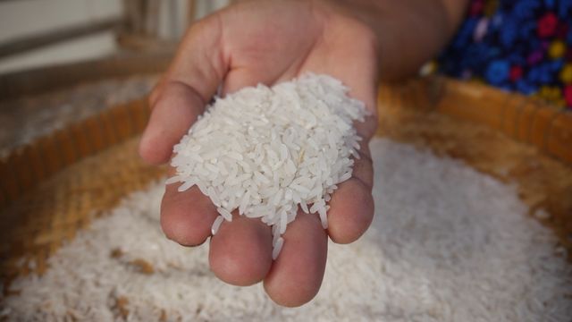 Grains, Rice & Staples