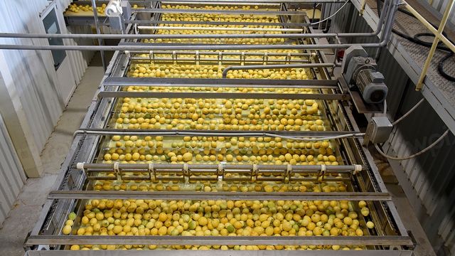 Food & Beverage Production Lines