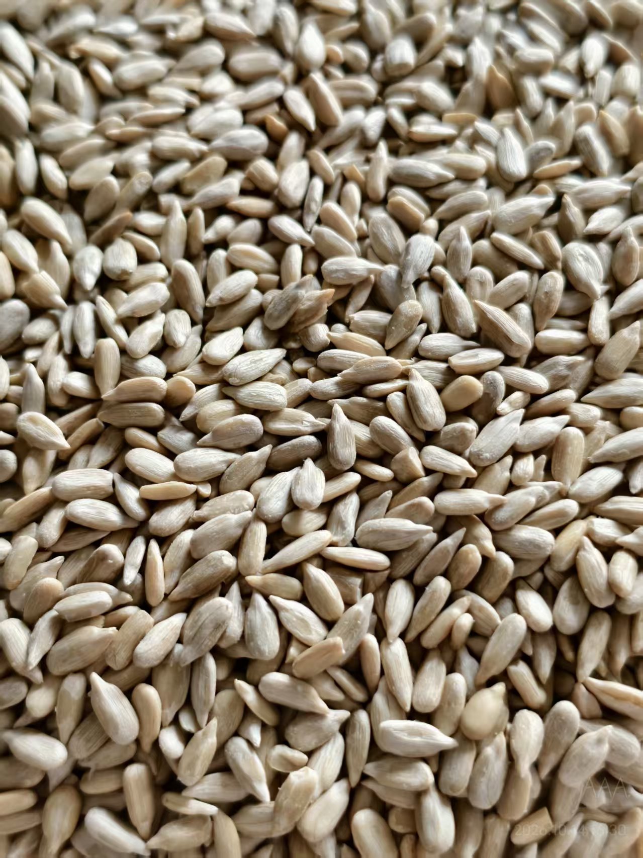Sunflower Seed Bakery type