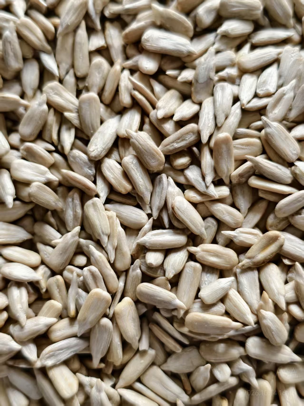 Sunflower seeds confectionery type